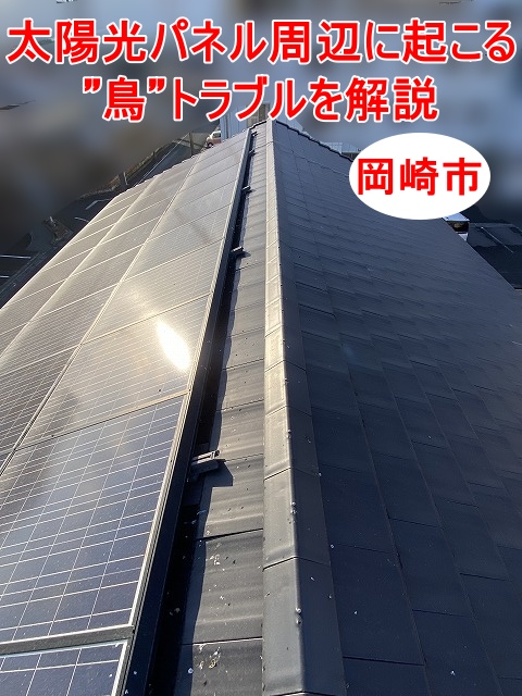 岡崎市｜太陽光パネルの下に鳥の巣やフン被害！？屋根に起こる”鳥”トラブルを解説します